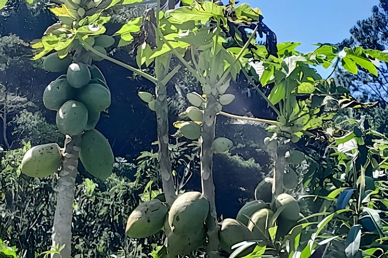 Casas de Campo com Piscina, Pesca em Juquitiba, SP