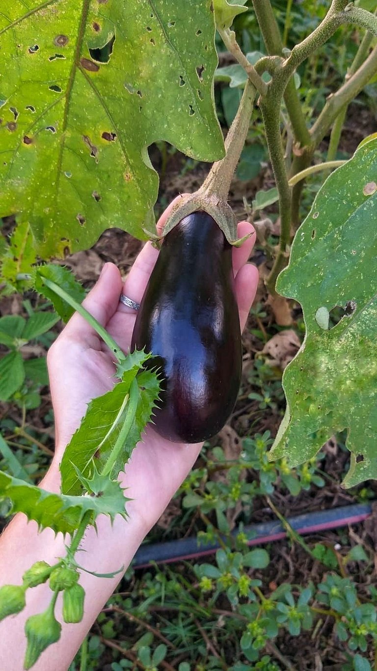 Casas Campo: Pesca, Piscina, WiFi