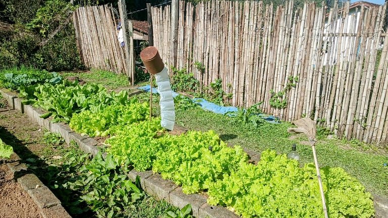 Casas de Campo com Piscina, Pesca em Juquitiba, SP