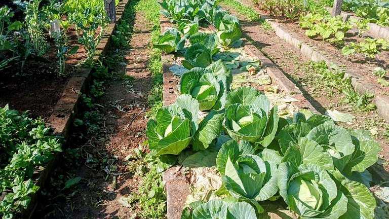 Country houses with swimming pool, fishing in Juquitiba, SP