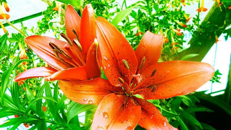 Casas de Campo com Piscina, Pesca em Juquitiba, SP