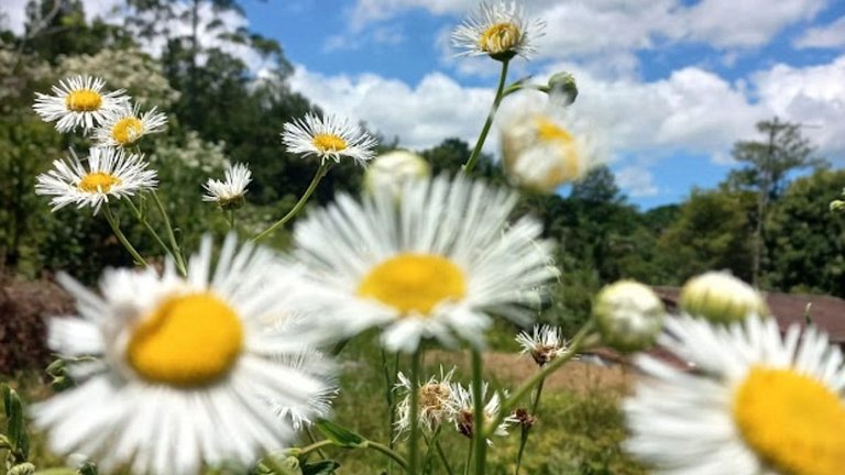 Country houses with swimming pool, fishing in Juquitiba, SP