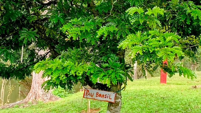 Country houses with swimming pool, fishing in Juquitiba, SP